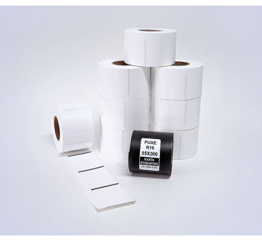 Kit 15: 4.800 Etiquetas Serrilhadas 50x60mm + 1 Ribbon R16 55mm x 300m